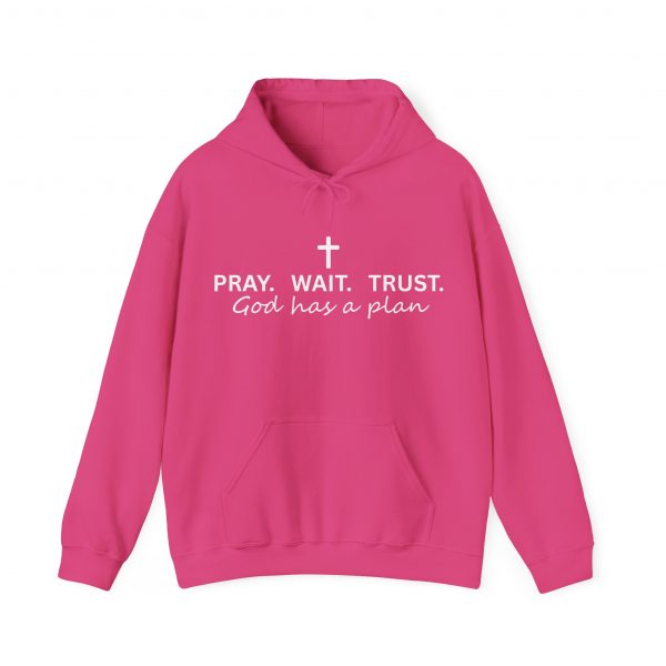 "Pray Wait Trust God Has a Plan" Christian Faith Hoodie